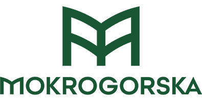 Mokrogorska škola menadžmenta